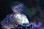 IMG_3209-09