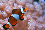 IMG_3243-43