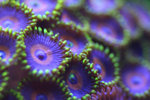 IMG_6572_72