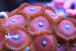 IMG_6580_80