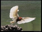IMG_0730
