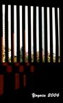 Image00010