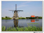 Rotterdam 21