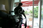 LD4C0607