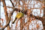 IMG_3313
