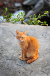DSC_0897a