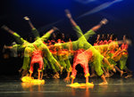 _DSC4814s