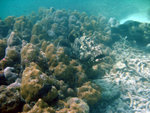 DSC01907