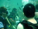 DSC01915