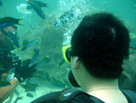 DSC01916