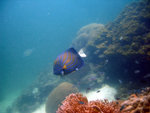 DSC01923