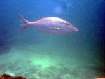 DSC01939