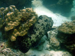 DSC01960