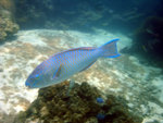 DSC01967