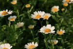 IMG_4626_resize