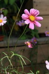 IMG_4887_resize