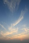 IMG_0572_resize