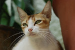 DSC_5191e