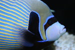 �Ӥ� 778