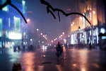 Beijing 03-10 030