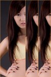 Sumiko T-004