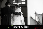 Sara Leo copy