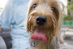 IMG_1557