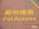 200905310001