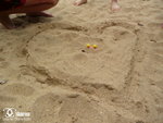 200905310019