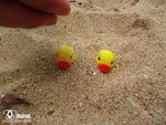 200905310020