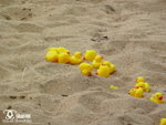 200905310030