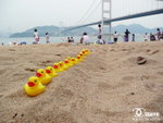 200905310041