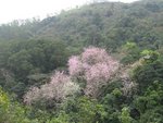 IMG_0516