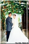 wa_web_28