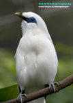 DSC_3349_copy
