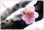 nEO_IMG_S003