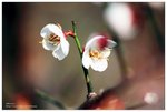 nEO_IMG_S008