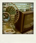 ANT_8379-pola