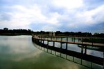 ANT_0794