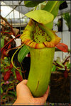 nEO_IMG_DSC_8569 sibuy x truncata-squat