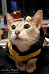 DSCN4077