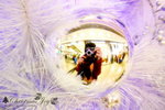 DSCN2556_1_