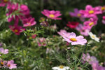 IMG_3161