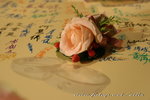 IMG_3544c