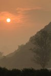 IMG_0934