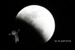 12/10-2011 ����k