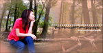 Yangmingshan Cover