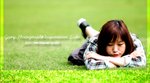 Tung Cover