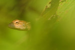 IMG_0069