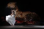 a_MG_6689